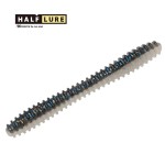 ��ǰ ������