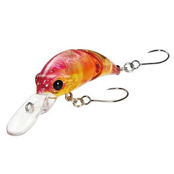 ��ǰ�̹���